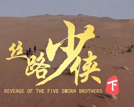 丝路少侠 下部(全集)