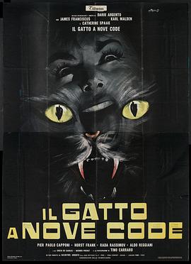 Cat On The Roof(全集)