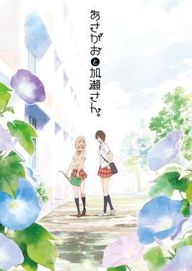 牵牛花(全集)