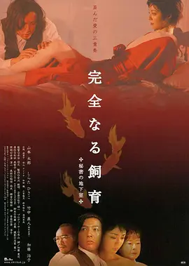 完美宠物：秘密地下室(全集)