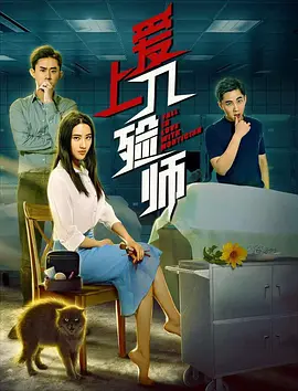 爱上入殓师(全集)