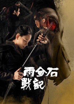 雨金石战记(全集)