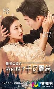 相亲失败后，我闪婚了个千亿霸总(全集)