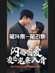 闪婚密爱凌总宠妻入骨(全集)