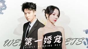 第一婚宠(全集)