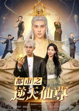 都市之逆天仙尊(全集)