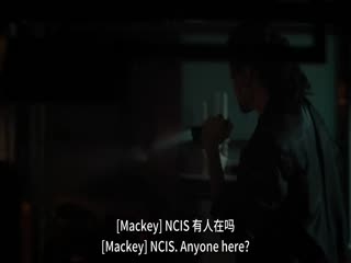 海军罪案调查处：悉尼第二季(全集)