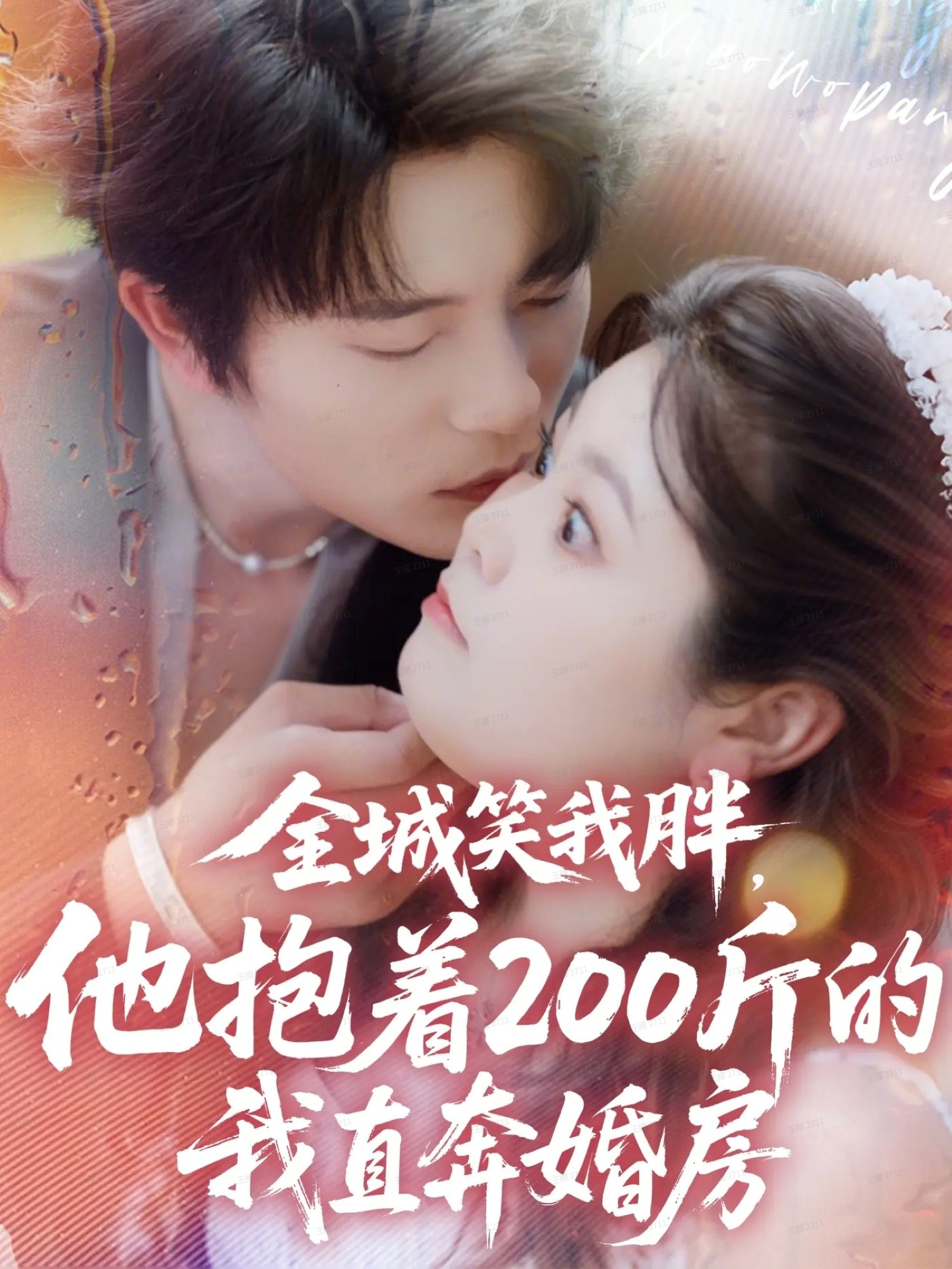 全城笑我胖-他抱着200斤的我直奔婚房(全集)