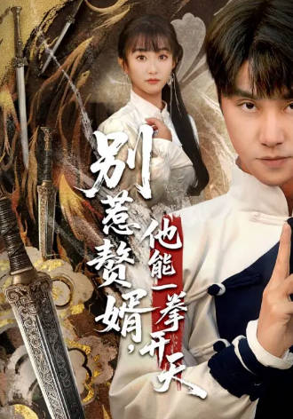 别惹赘婿，他能一拳开天(全集)