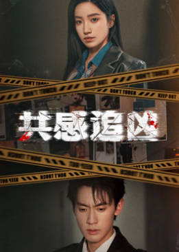 共感追凶(全集)