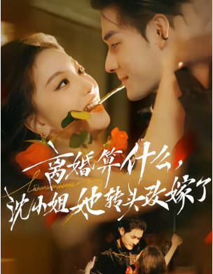 离婚算什么，沈小姐她转头改嫁了(全集)